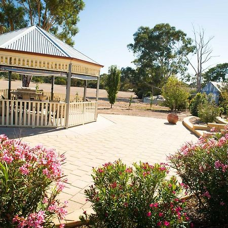 Barossa Vineyard Cottages Tanunda Dış mekan fotoğraf