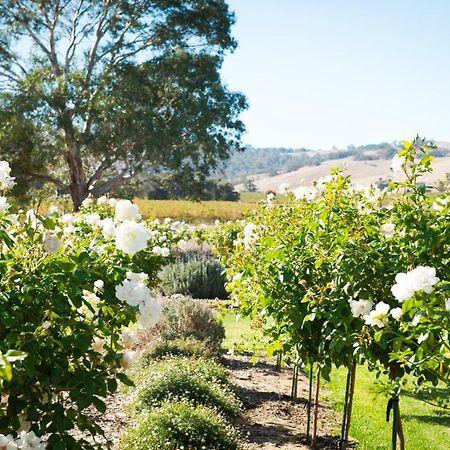 Barossa Vineyard Cottages Tanunda Dış mekan fotoğraf
