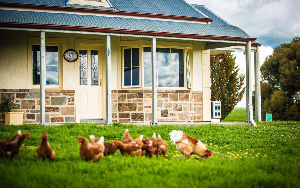 Barossa Vineyard Cottages Tanunda Dış mekan fotoğraf