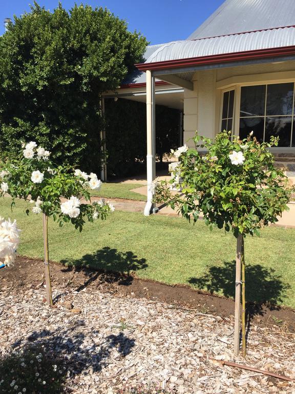 Barossa Vineyard Cottages Tanunda Dış mekan fotoğraf