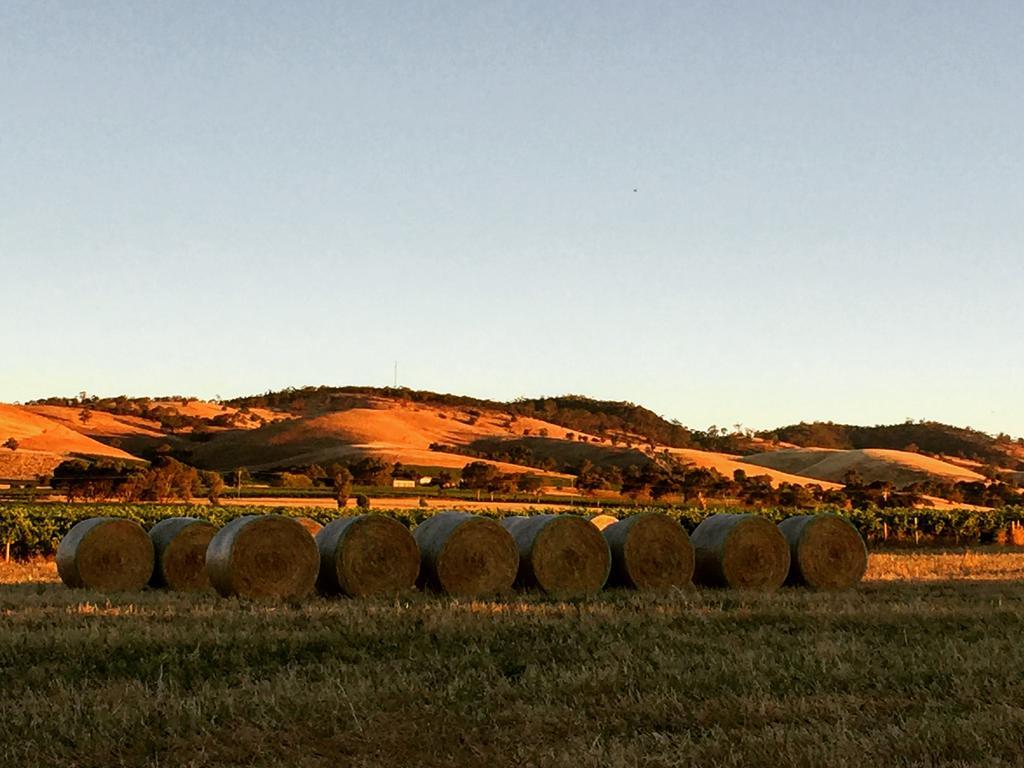 Barossa Vineyard Cottages Tanunda Dış mekan fotoğraf