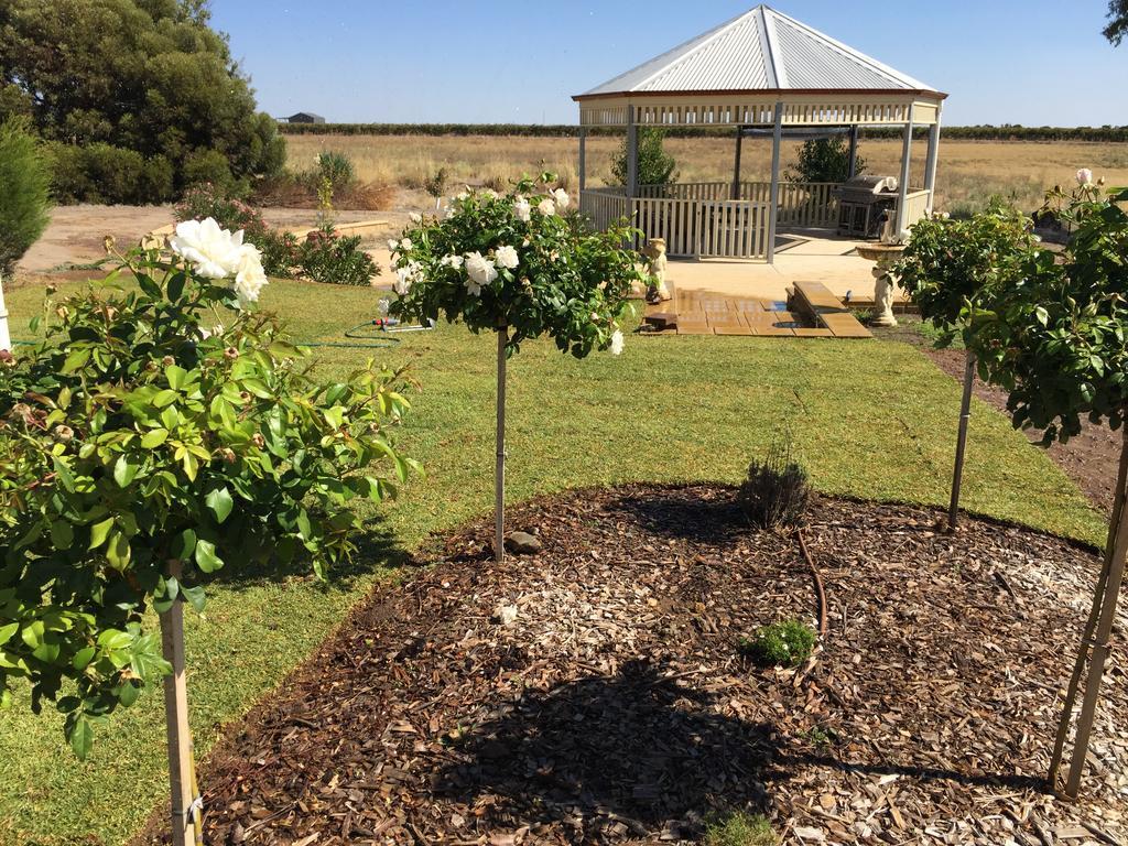 Barossa Vineyard Cottages Tanunda Dış mekan fotoğraf