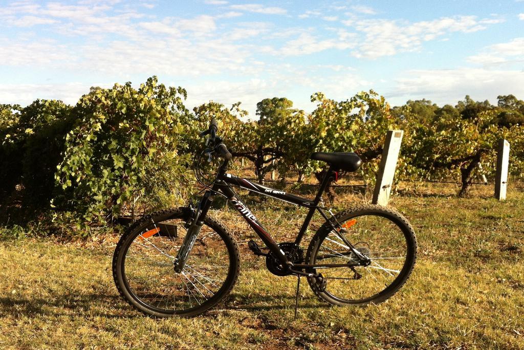 Barossa Vineyard Cottages Tanunda Dış mekan fotoğraf