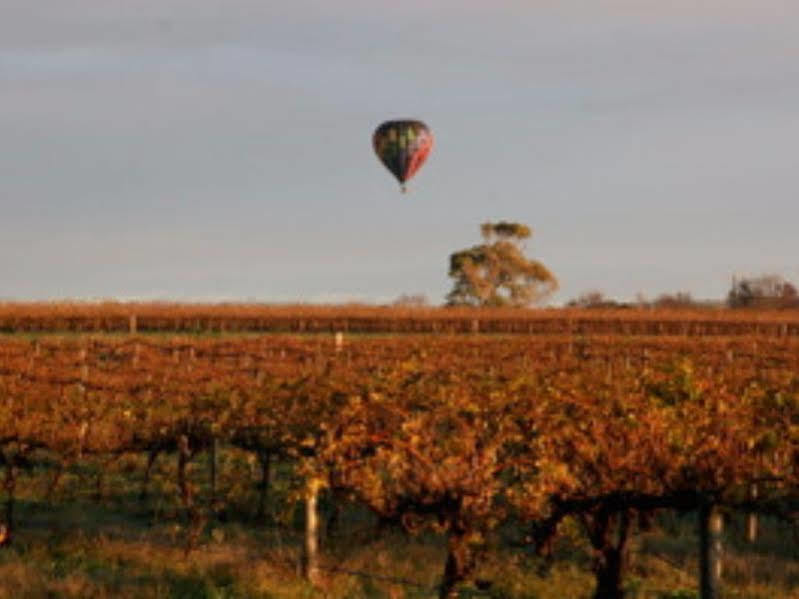 Barossa Vineyard Cottages Tanunda Dış mekan fotoğraf