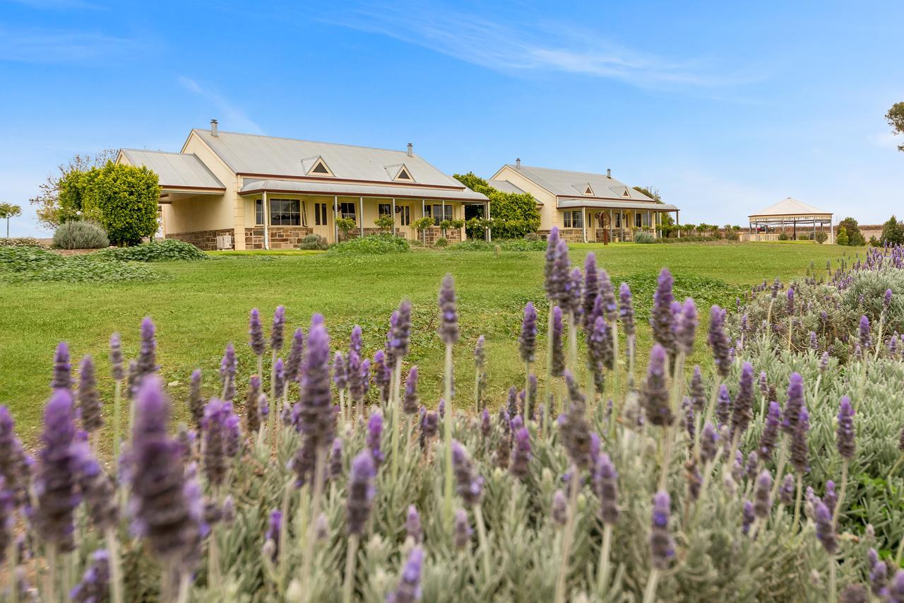 Barossa Vineyard Cottages Tanunda Dış mekan fotoğraf