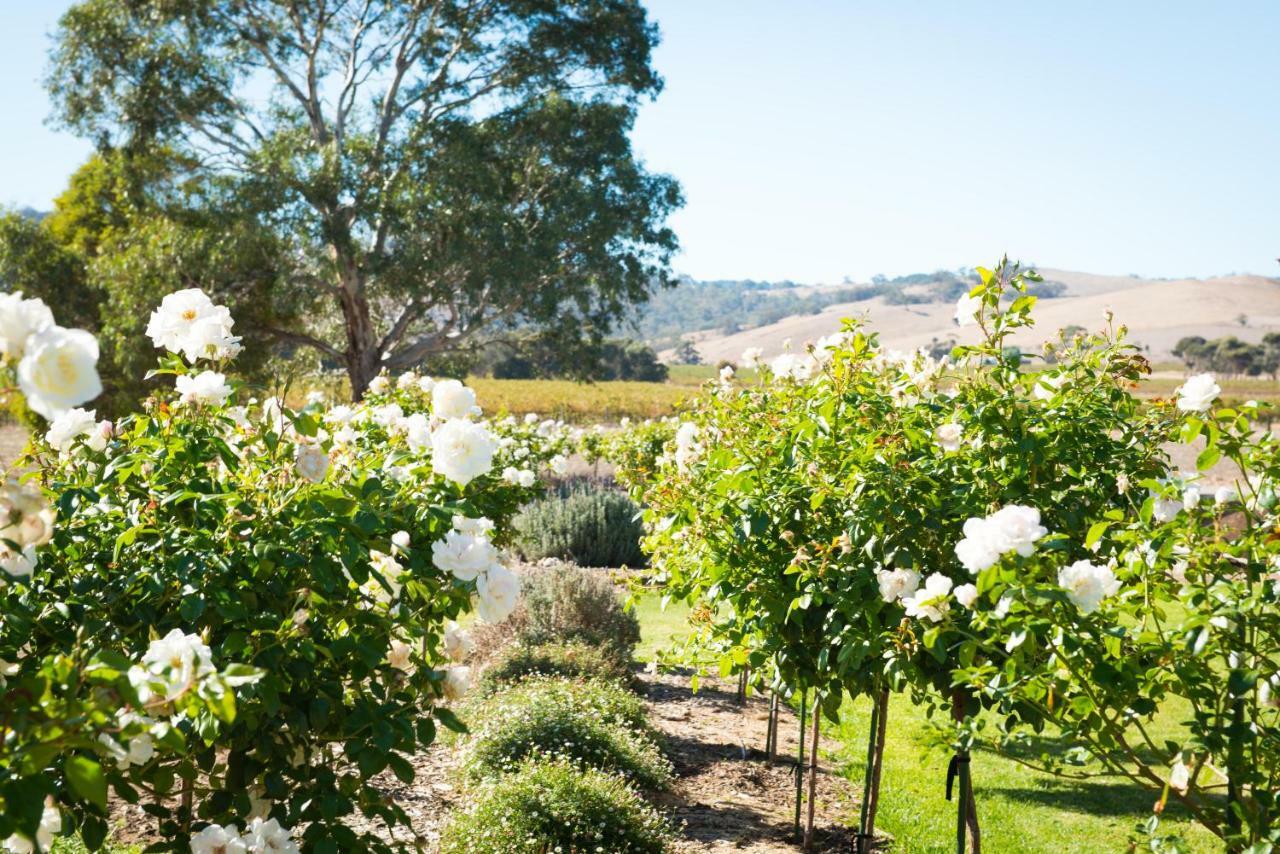 Barossa Vineyard Cottages Tanunda Dış mekan fotoğraf