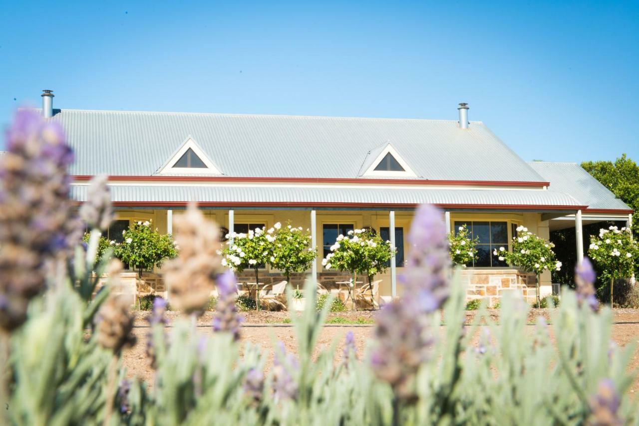 Barossa Vineyard Cottages Tanunda Dış mekan fotoğraf