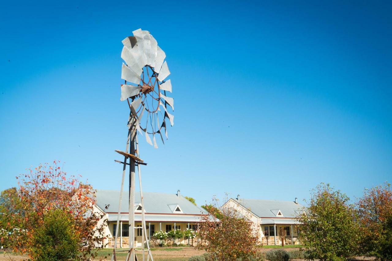 Barossa Vineyard Cottages Tanunda Dış mekan fotoğraf